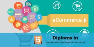 Diploma in Internet & Web Page Design ( E-Commerce )